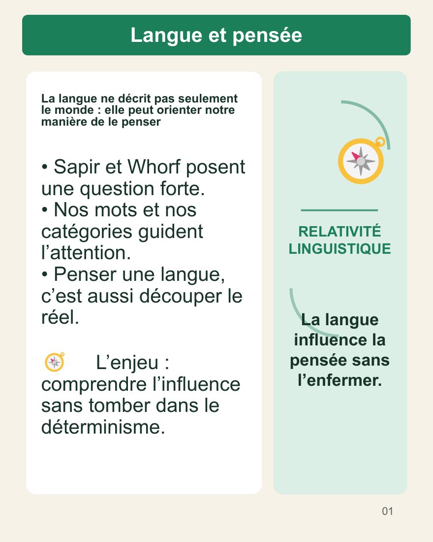 Couverture du carrousel Relativité linguistique - Comment la langue oriente la pensée