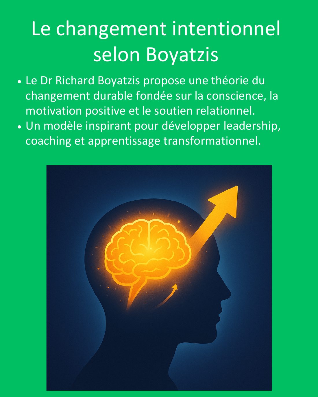 Couverture du carrousel Théorie du changement intentionnel de Boyatzis